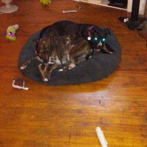 Meet your Posher, Angie